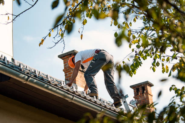 Best Residential Roofing Contractor  in Chelsea, MI