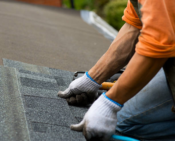 Best Roof Gutter Cleaning  in Chelsea, MI