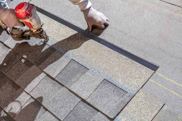 Best Residential Roof Replacement  in Chelsea, MI